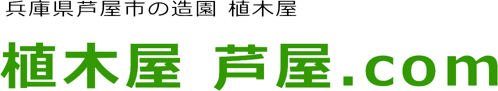 芦屋市のカイヅカ伐採施工事例のご紹介。植木屋 芦屋.com