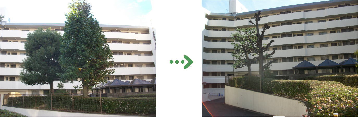 植栽管理の施工前と施工後